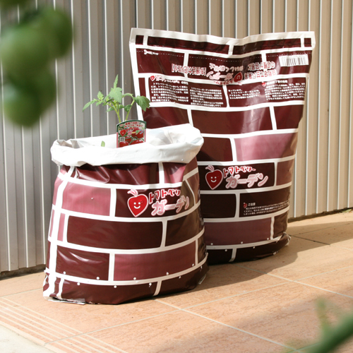 トマトベリーガーデン苗＋栽培土