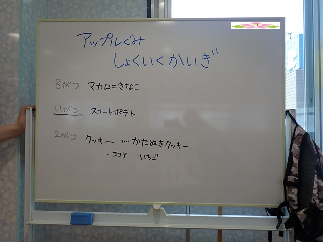 P5131392